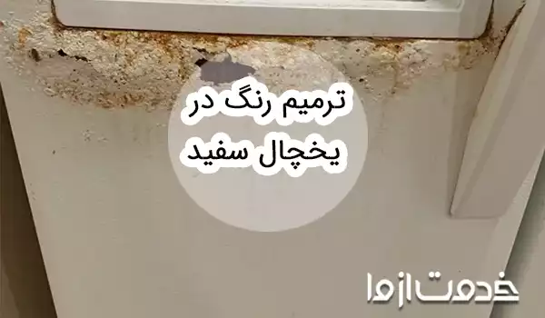 ترمیم رنگ در یخچال سفید